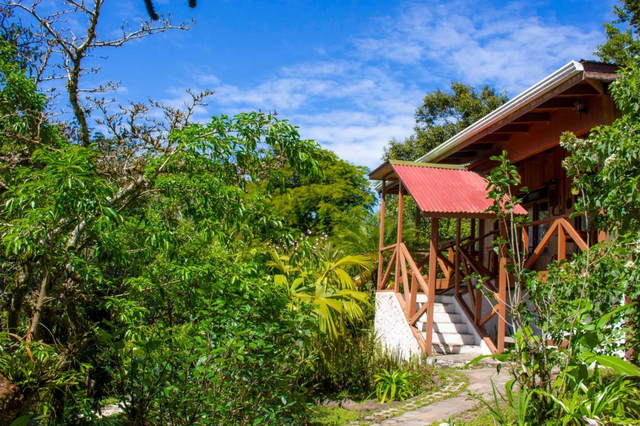 Hotel Holistico Monteverde Exterior photo