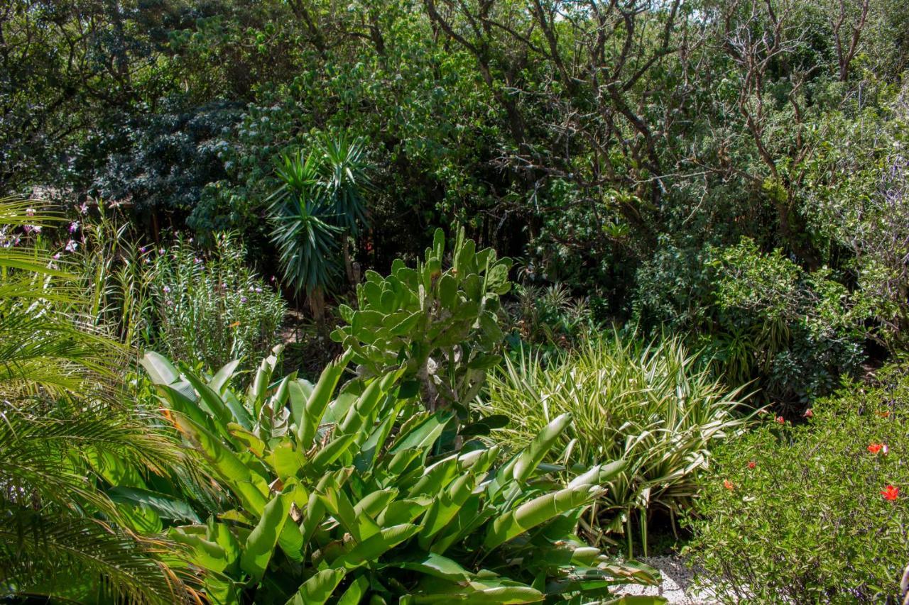Hotel Holistico Monteverde Exterior photo